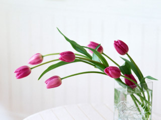Vase pink flowers table white 5 - a table in a room free wallpaper