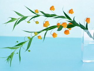 Flower vase green stem table - a blue wall free wallpaper