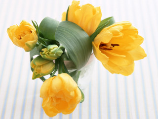 Vase yellow flowers striped tablecloth 3 - a vase free wallpaper