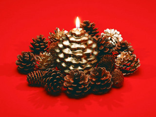 Candle pine cones red background - pine free wallpaper