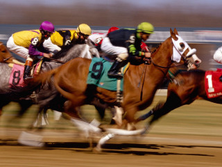 Horses racing jockeys track competition 2 - their back free wallpaper