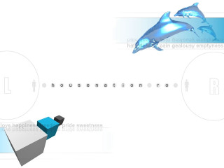 Blue white dolphin house person - high free wallpaper