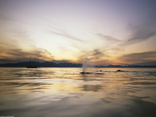 Boat sunset sky clouds water - douglas robertson bisset free wallpaper