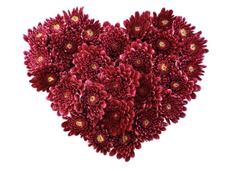 Heart red flowers gold center - red flower free wallpaper