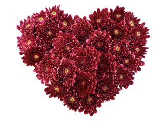 Heart shaped red flowers white - red flower free wallpaper
