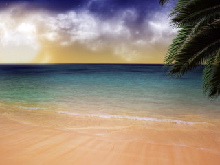 Beach palm tree blue ocean 5 - the background and a sun free wallpaper