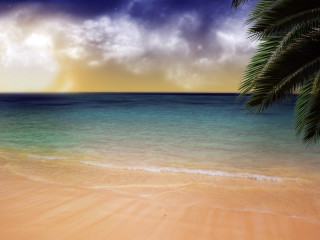 Beach palm tree blue ocean 6 - the background and a sun free wallpaper