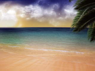 Beach palm tree blue ocean 2 - a blue ocean free wallpaper