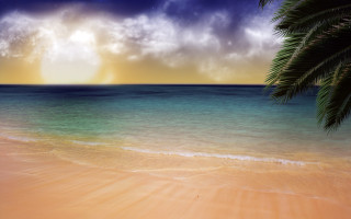 Beach palm tree sunset clouds 3 - a painting of a beach free wallpaper