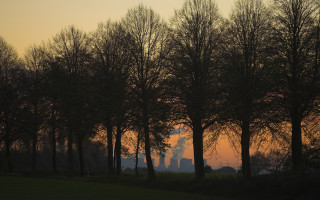 Trees sunset building smoke distance 3 - a group of trees free wallpaper