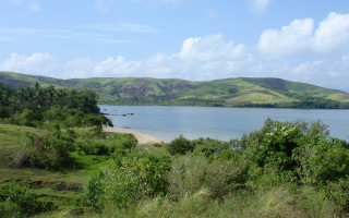 Lake green hills trees sunny 6 - lush green hill and trees free wallpaper