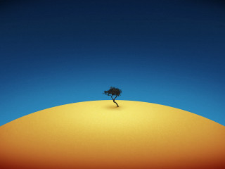 Lone tree hill blue sky 3 - a lone tree free wallpaper