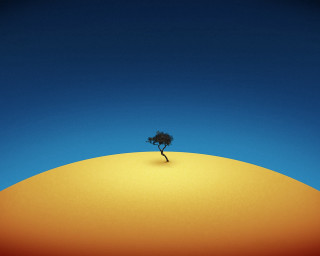 Lone tree hill blue sky 4 - a lone tree free wallpaper