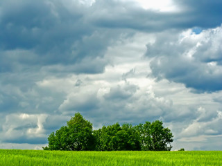 Green field trees clouds stormy - stormy weather free wallpaper