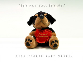 Stuffed dog heart quote halloween 2 - stuffed free wallpaper