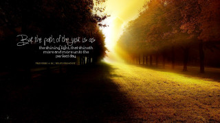 Road trees quote light sky - a road free wallpaper