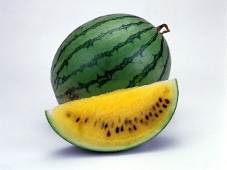 Watermelon slice white background brown 2 - neoplasticism free wallpaper
