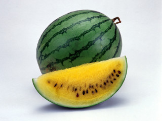 Watermelon slice white background brown 3 - boetius adamsz bolswert free wallpaper
