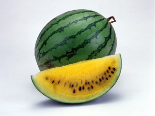 Watermelon slice white background brown 4 - a white background free wallpaper