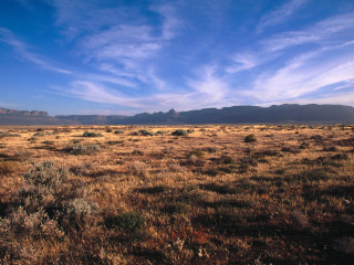 Field mountain blue sky clouds 4 - a few bush free wallpaper