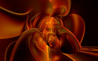 Orange yellow flower black background 3 - image of a flower free wallpaper