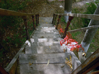 Wooden staircase red flower tree 4 - a wooden staircase free wallpaper