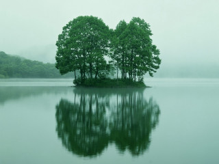 Trees water shoreline foggy sky 2 - neoromanticism free wallpaper