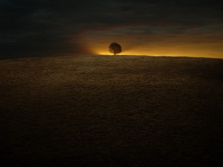 Lone tree hill sunset dark 2 - a yellow light in the middle free wallpaper