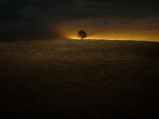 Lone tree hill sunset dark 3 - a yellow light in the middle free wallpaper