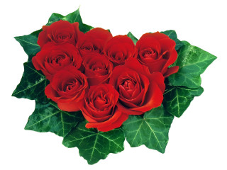 Red roses bouquet green leaves 3 - red rose free wallpaper