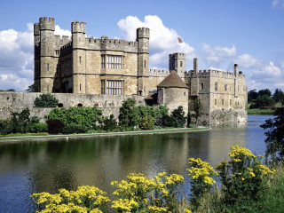 Castle lake yellow flowers blue 4 - yellow flower free wallpaper