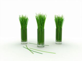 Three vases grass white surface - a white surface free wallpaper
