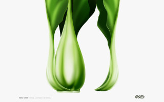 Green vase flower white background 4 - benoit b. mandelbrot free wallpaper