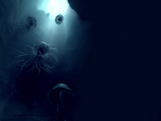Jellyfish swimming dark ocean surface 3 - chris cold free wallpaper