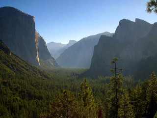 Valley mountains trees foreground scenic 2 - a view of a valley free wallpaper