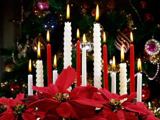 Candles poinsettis christmas tree deer - candle free wallpaper