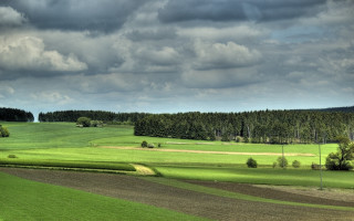 Field forest cloudy sky background - a forest in the background free wallpaper