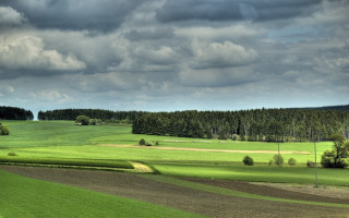Field trees distance cloudy sky - cloudy free wallpaper