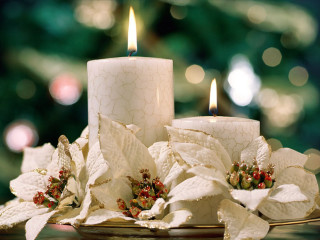 Candles table christmas tree poinsettias - a still life free wallpaper