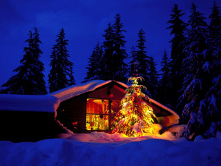 Lit christmas tree cabin snow - ambient lighting free wallpaper