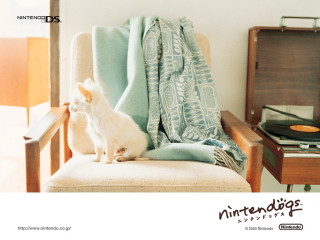 Small white dog chair record - a cross stitch free wallpaper