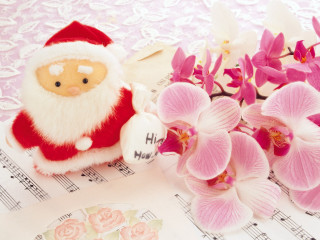Stuffed santa flower music ornamental 2 - stuffed free wallpaper