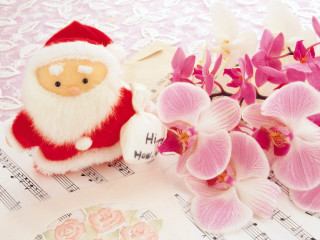 Stuffed santa flower music ornamental - stuffed free wallpaper
