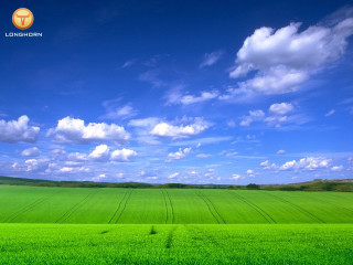 Green field blue sky clouds 61 - a green field free wallpaper
