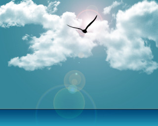 Bird flying sky ocean cloudy - free airplane wallpaper