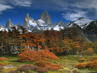 Mountain range trees flowers blue - landscape free wallpaper