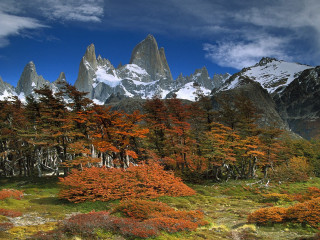 Mountain range trees flowers blue 2 - a mountain range free wallpaper