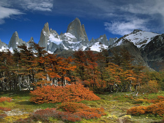 Mountain range trees flowers blue 4 - landscape free wallpaper for desktop