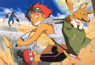 Man motorcycle kangaroo beach animals 2 - a kangaroo free wallpaper