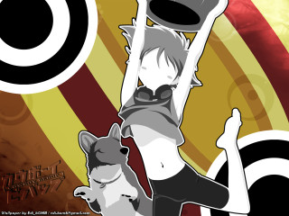 Woman cat hat dog holding - her free wallpaper